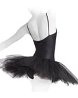 repetto tutu and bodice