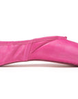 Pointe Shoe Paint