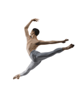 Ballet Rosa Pietro Microfiber Footless Tights