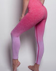 Tendu Seamless Leggings