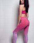 Tendu Seamless Leggings