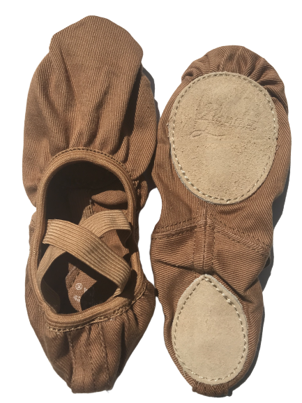 Canvas vs. Leather Ballet Shoes  Canvas ballet shoes, Ballet shoes, Leather  ballet shoes