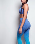 Tendu Seamless Leggings