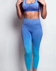 Tendu Seamless Leggings