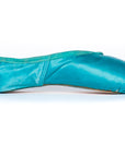 Pointe Shoe Paint
