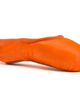 Pointe Shoe Paint