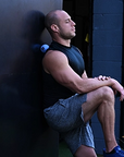 Tune Up Fitness Therapy Ball Plus Pair